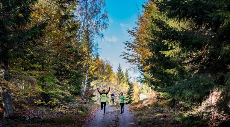 Stenaline "Biegowy Potop" Szwecja