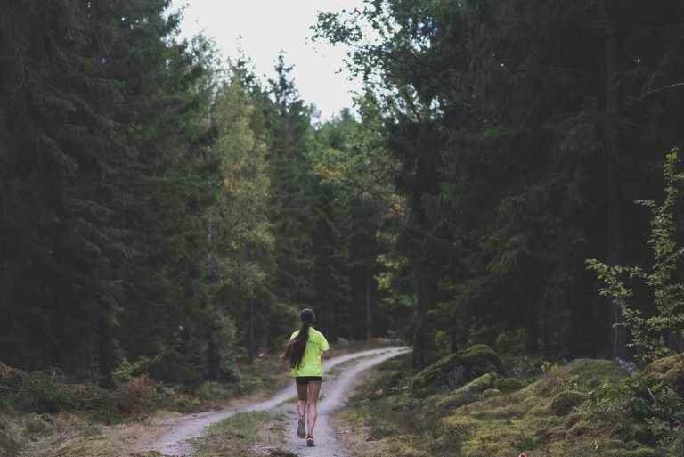 Stenaline "Biegowy Potop" Szwecja