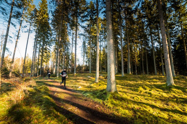 Stenaline "Biegowy Potop" Szwecja