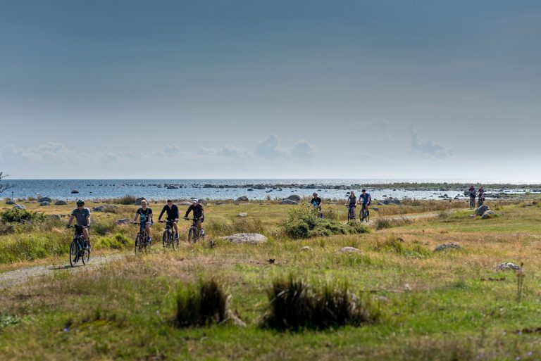 Stenaline "Rowerowy Potop" Szwecja