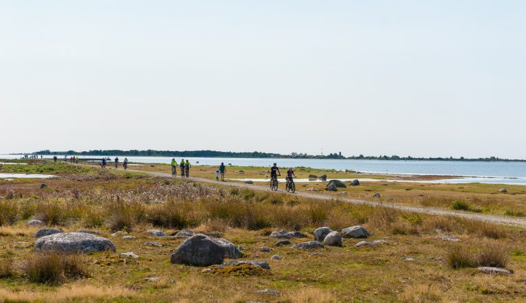 Rowerowy Potop Stenaline Szwecja